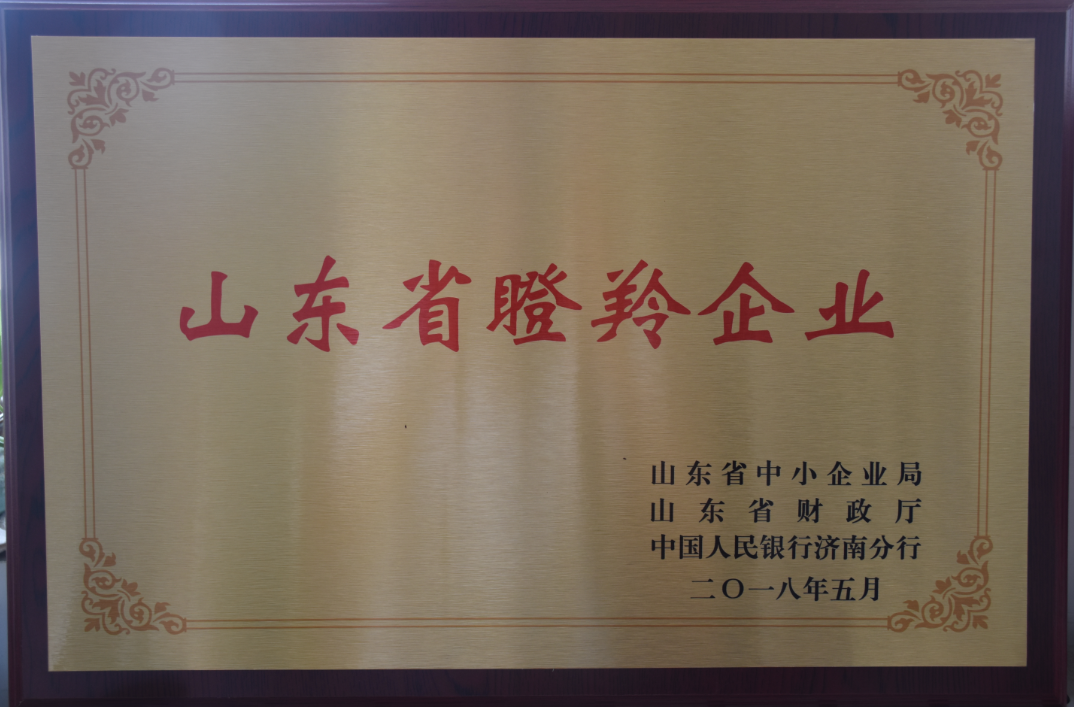 環(huán)球軟件成功入選山東省首批瞪羚示范企業(yè)